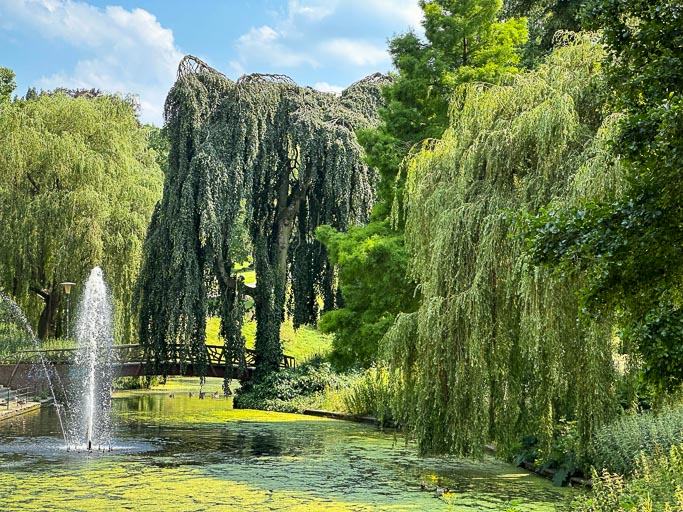 IMG_2945.jpg IMG_2945.jpg