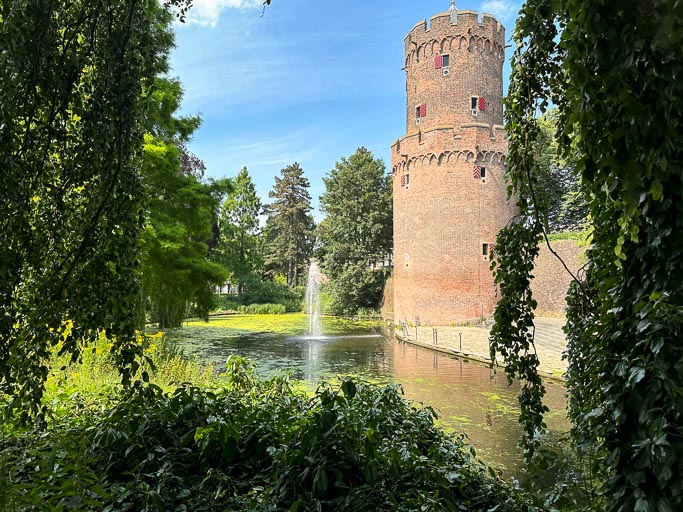 IMG_2950.jpg IMG_2950.jpg