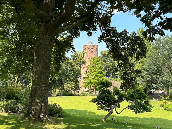 IMG_2960.jpg IMG_2960.jpg