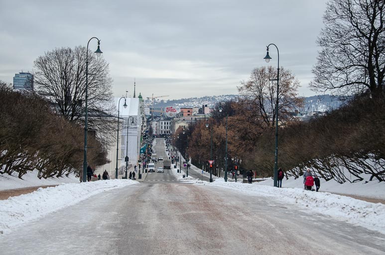 _D703064.jpg _D703064.jpg