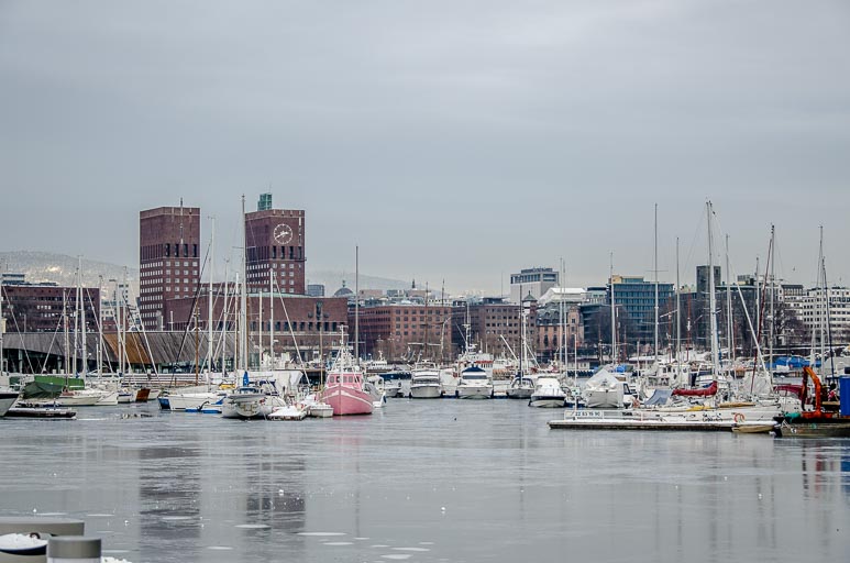 _D703103.jpg _D703103.jpg