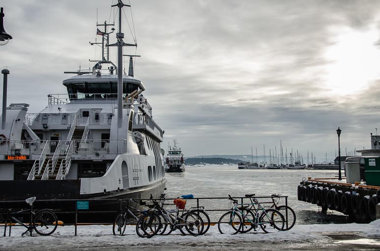 _D703141.jpg _D703141.jpg