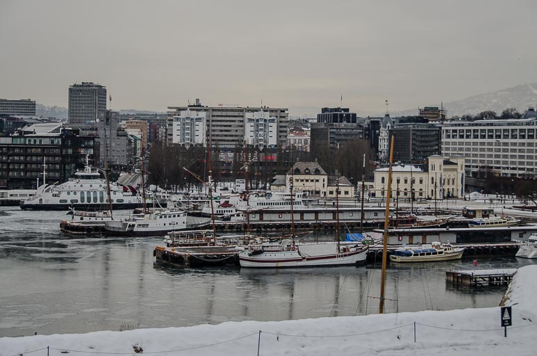 _D703176.jpg _D703176.jpg