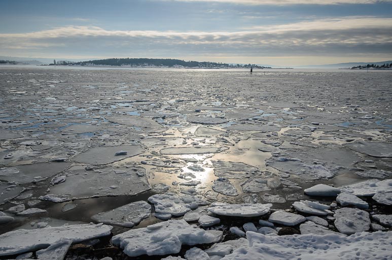 _D703327.jpg _D703327.jpg