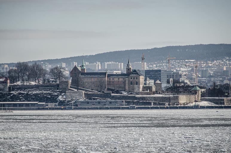 _D703351.jpg _D703351.jpg