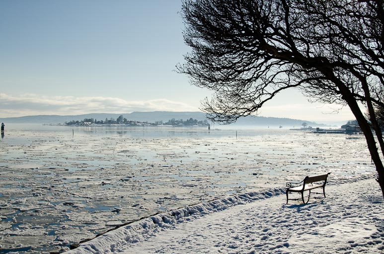 _D703468.jpg _D703468.jpg