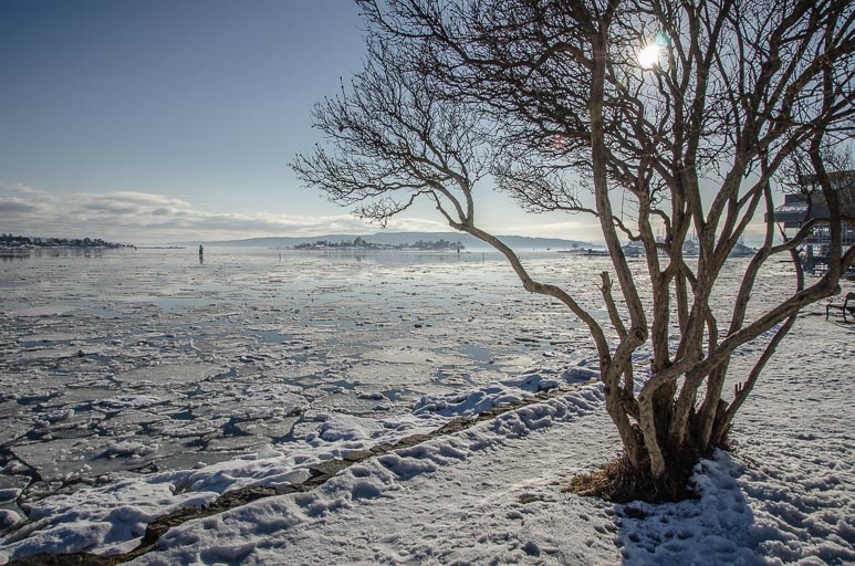 _D703471.jpg _D703471.jpg