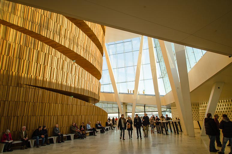 _D703531.jpg _D703531.jpg