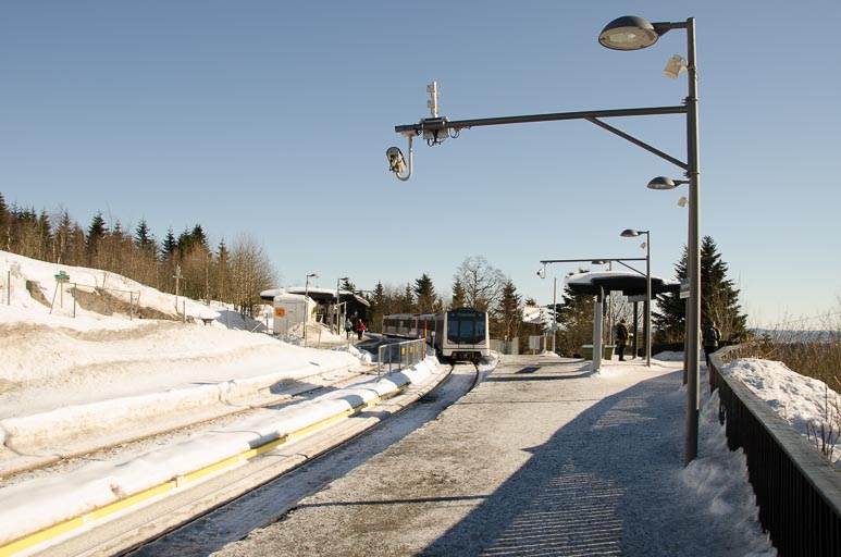 _D703542.jpg _D703542.jpg