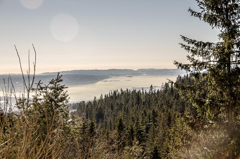 _D703544.jpg _D703544.jpg