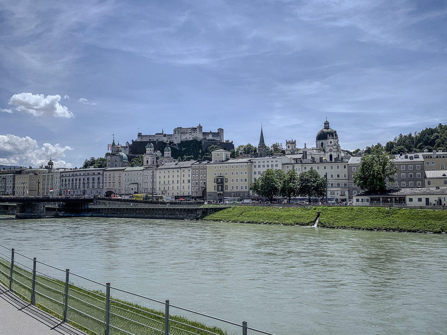 IMG_5366.jpg