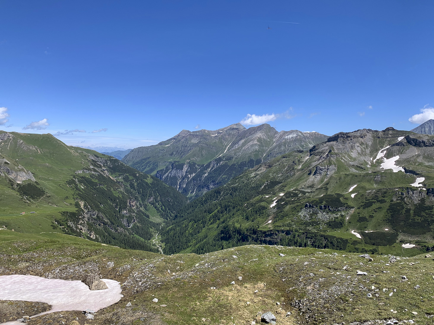 IMG_5172.jpg