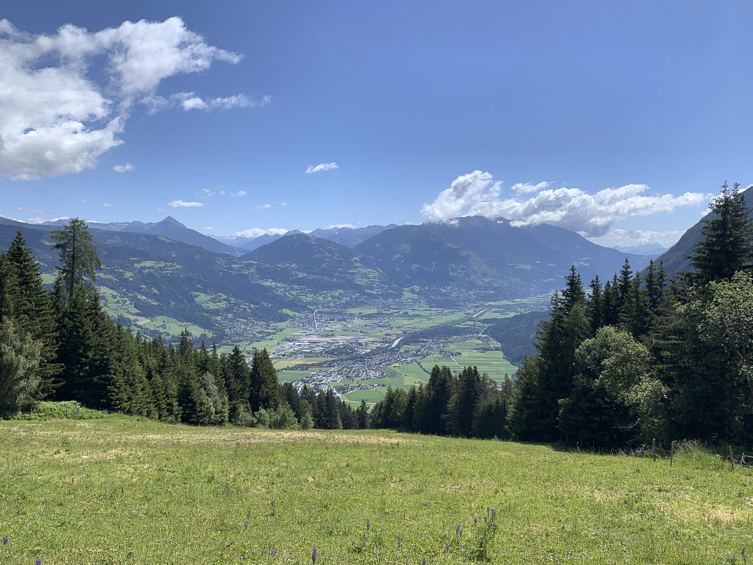 IMG_5036.jpg