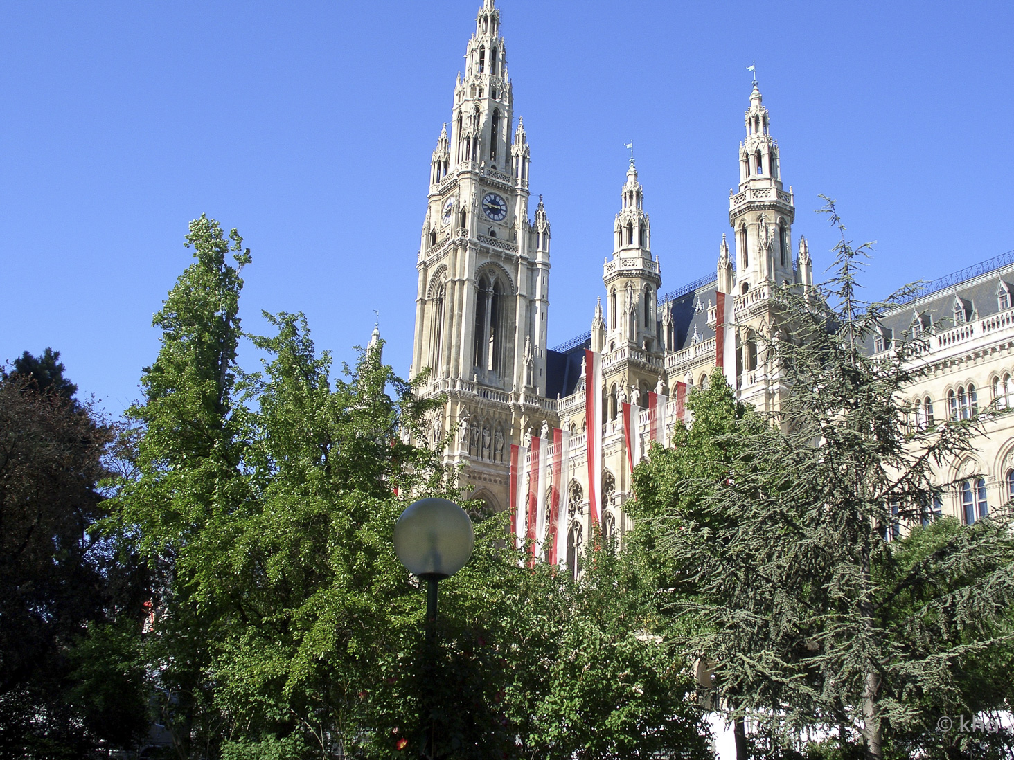 CIMG5945.jpg