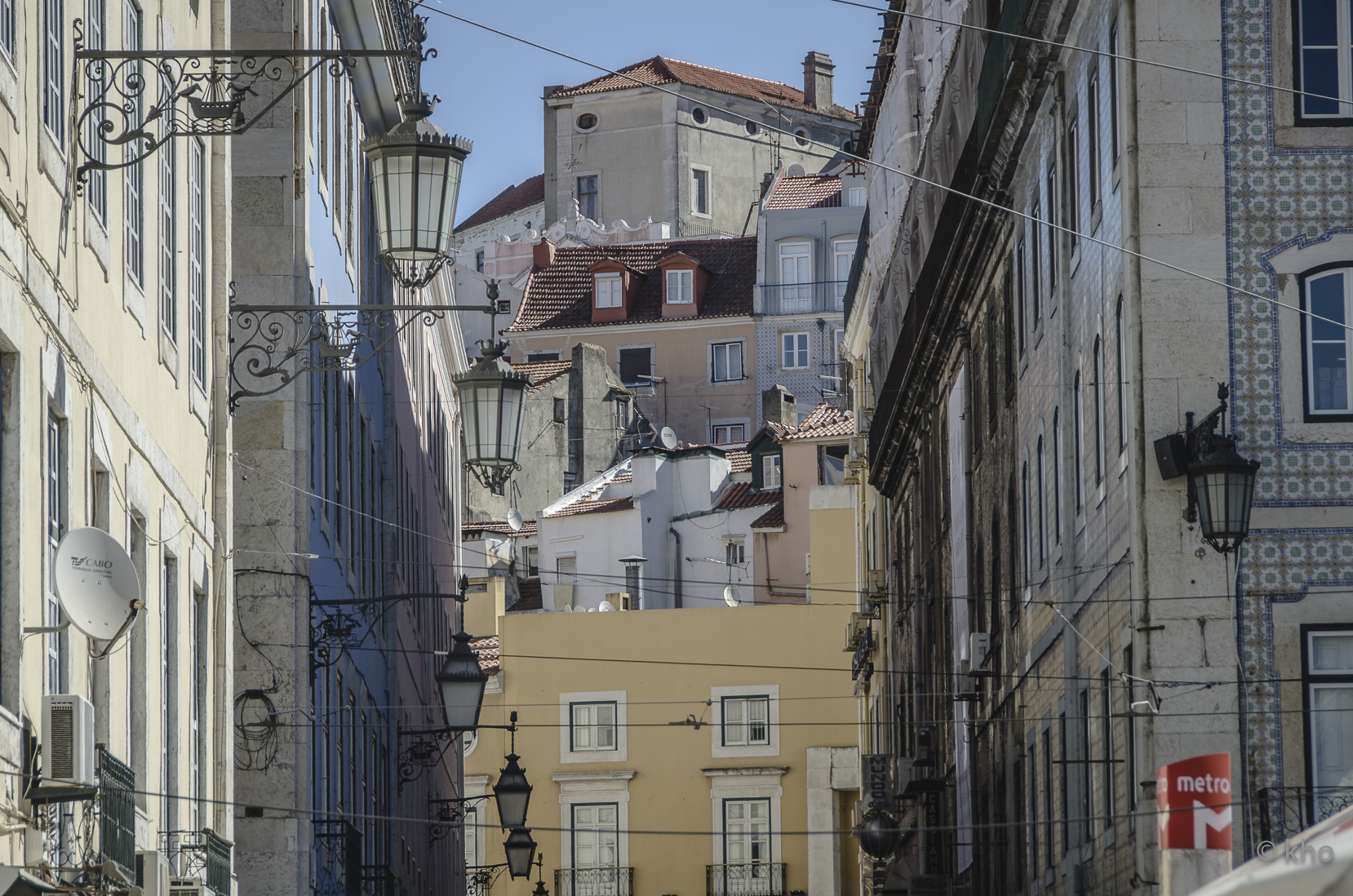 _D705887.jpg