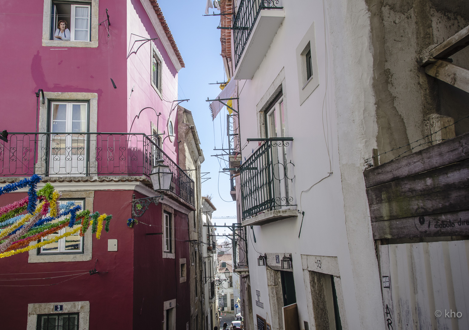 _D705974.jpg