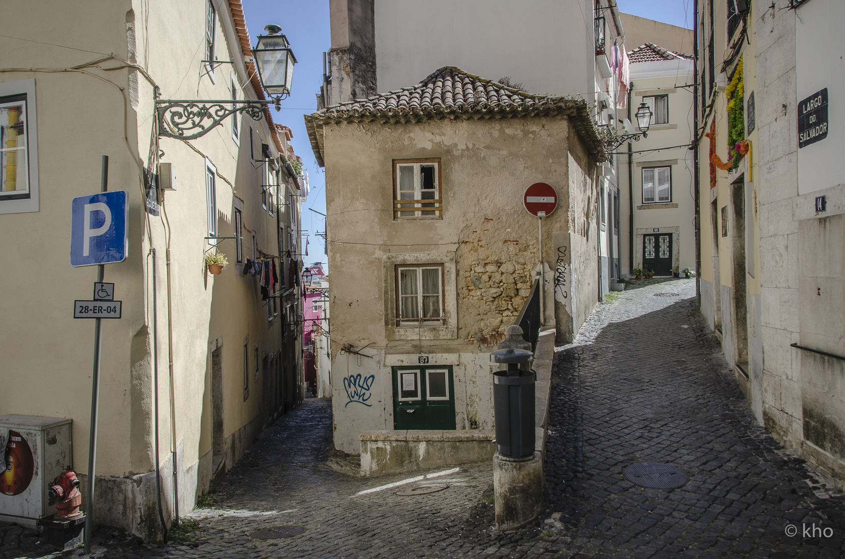 _D705979.jpg