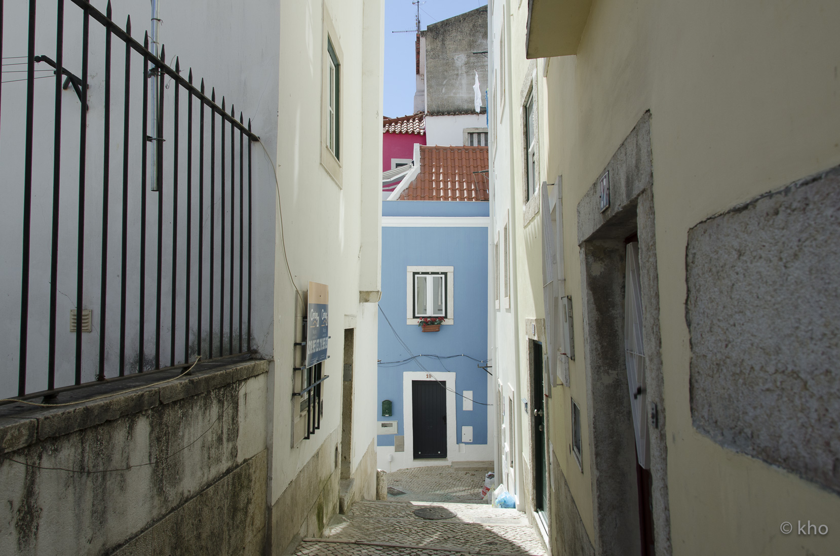 _D705986.jpg