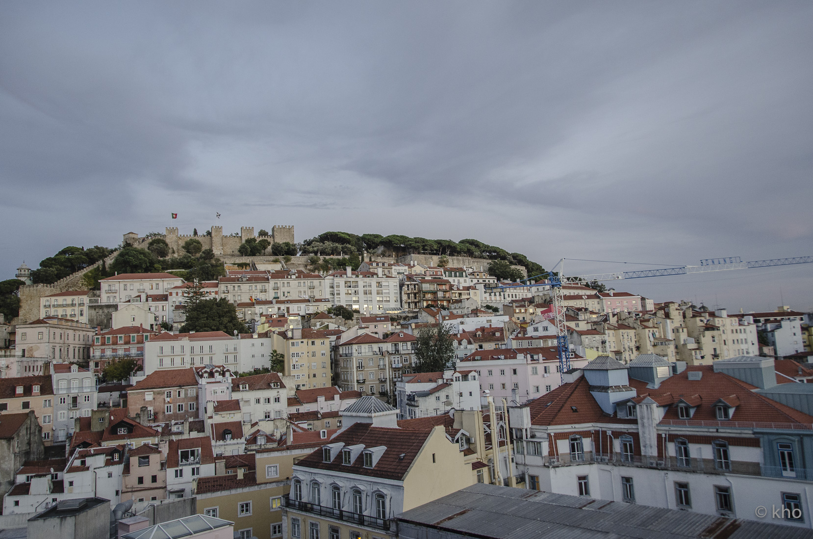 _D706053.jpg