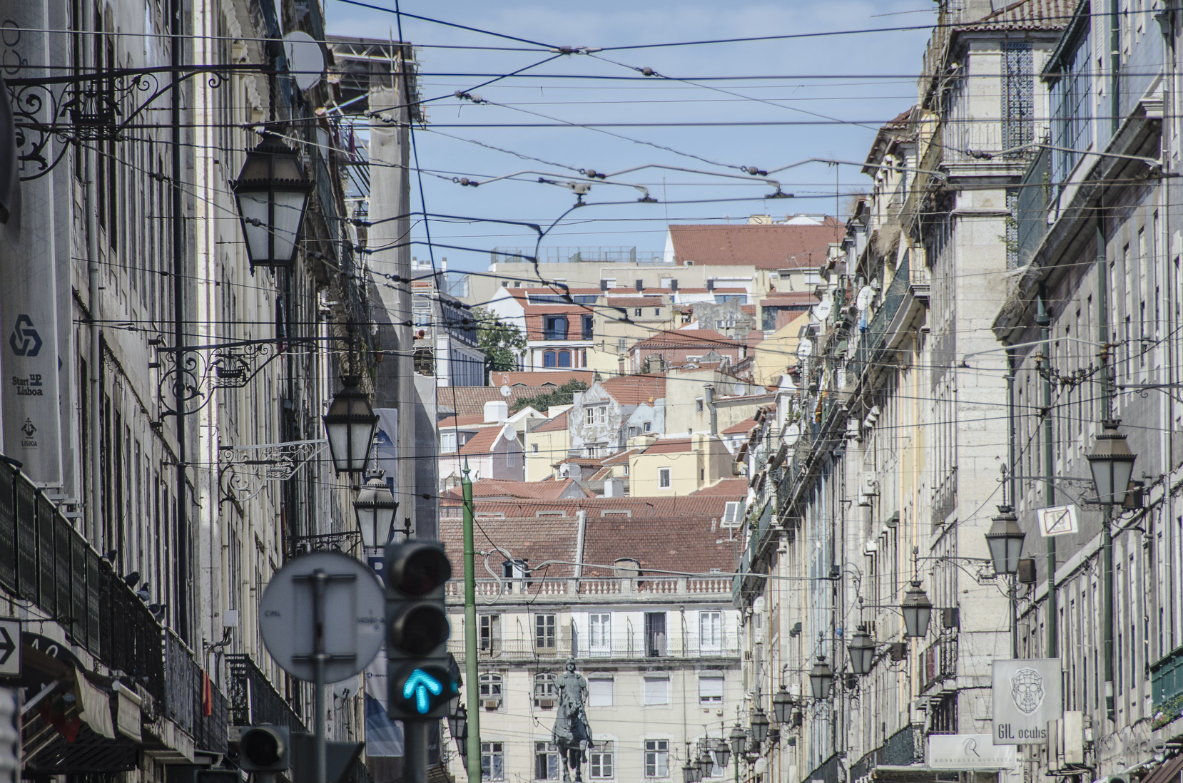 _D706234.jpg