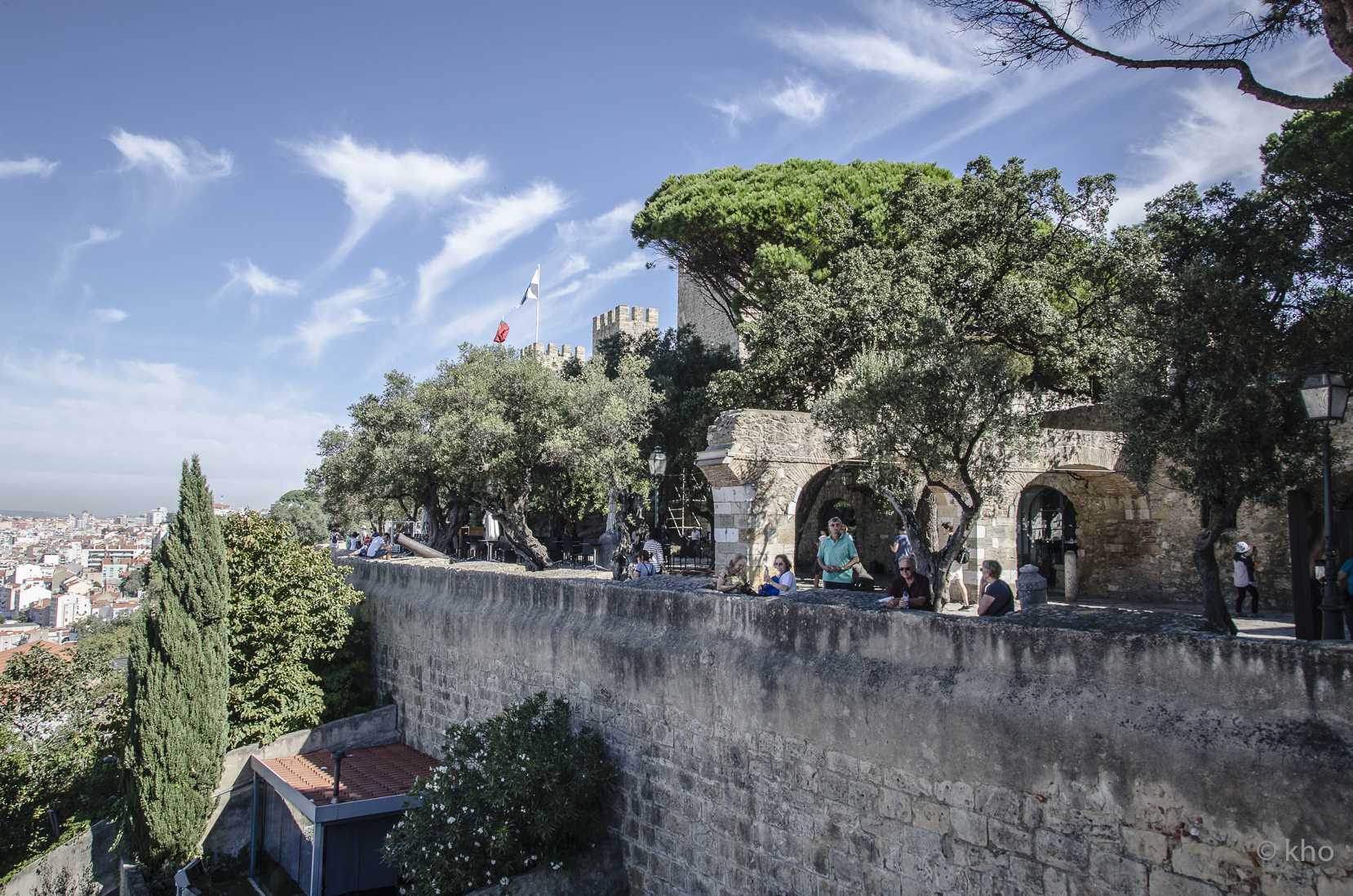 _D706403.jpg