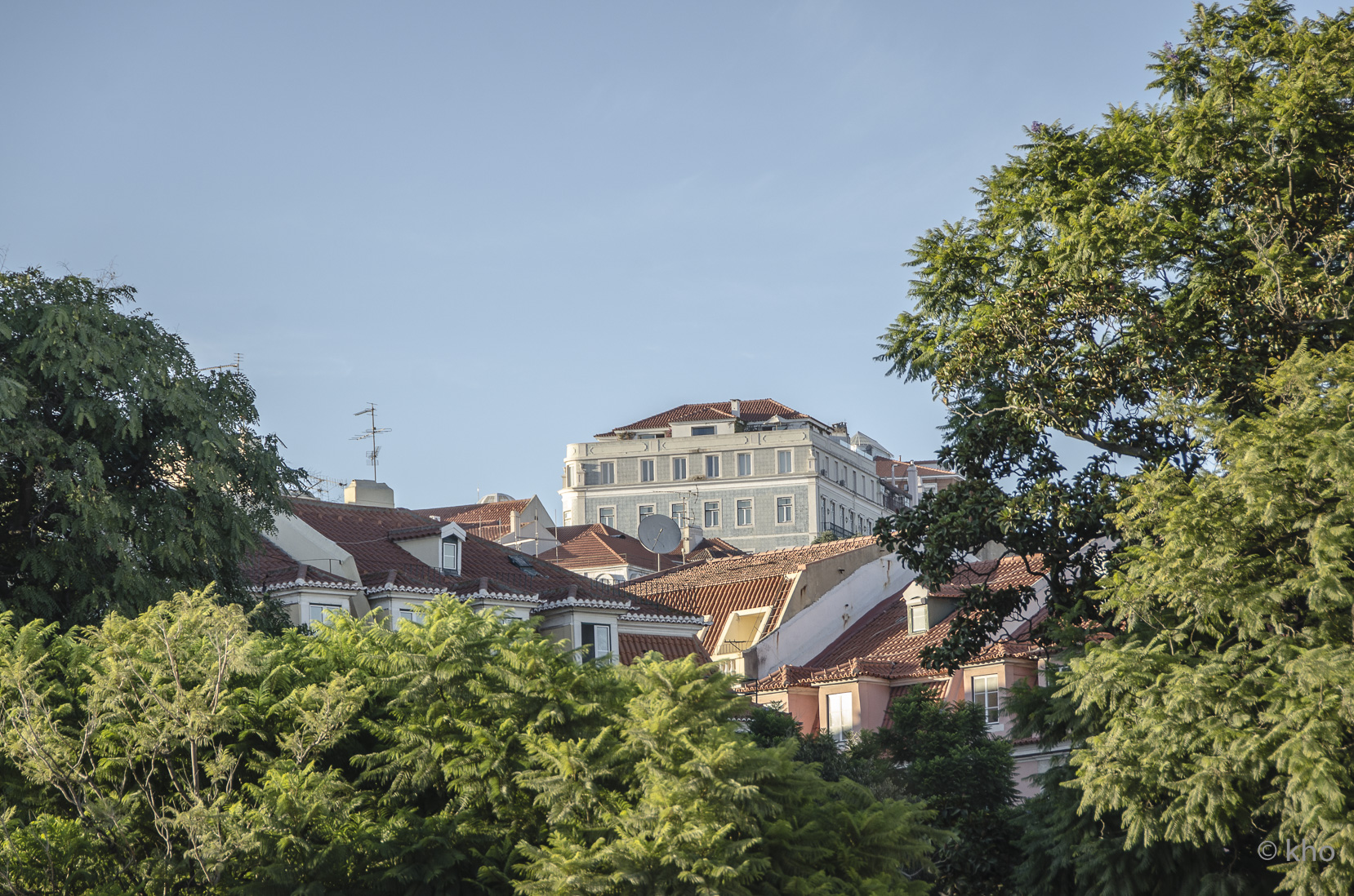 _D706567.jpg