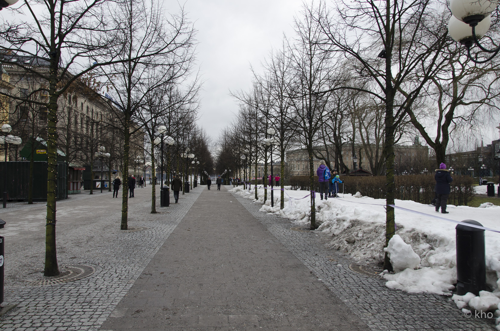 _D700382.jpg
