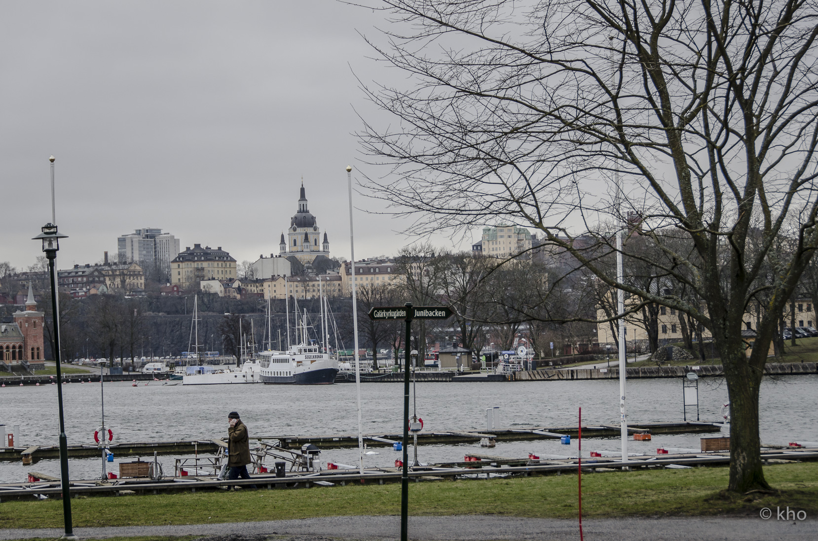_D700384.jpg