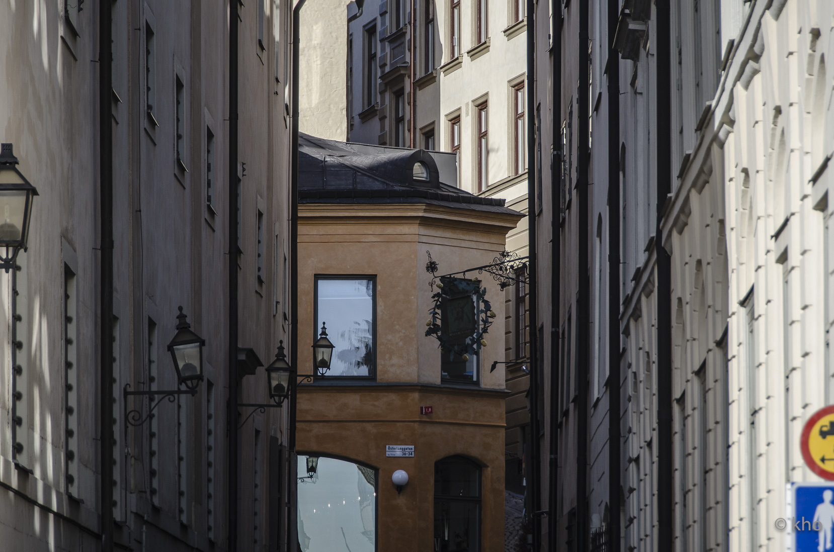 _D700554.jpg