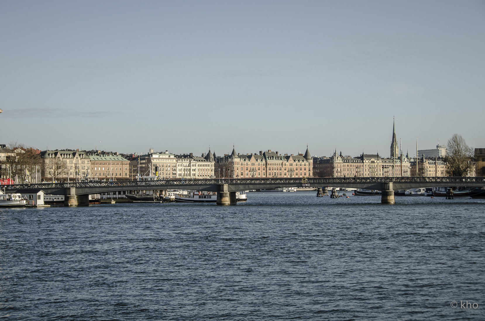 _D700564.jpg