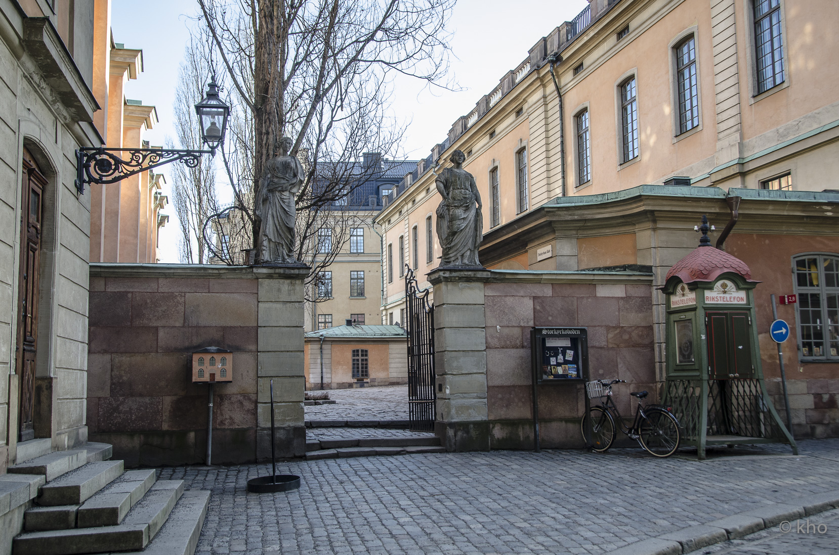 _D700588.jpg