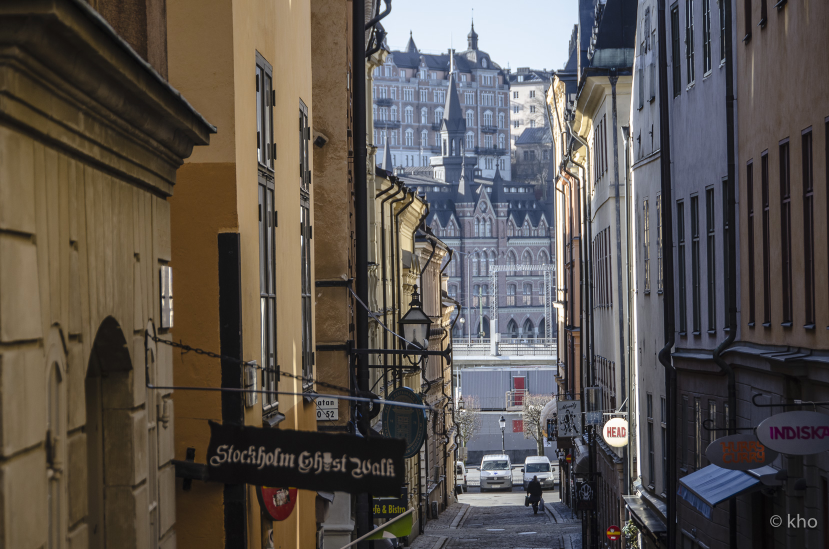 _D700597.jpg