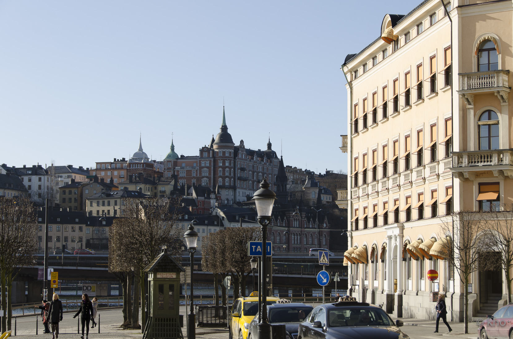 _D700618.jpg