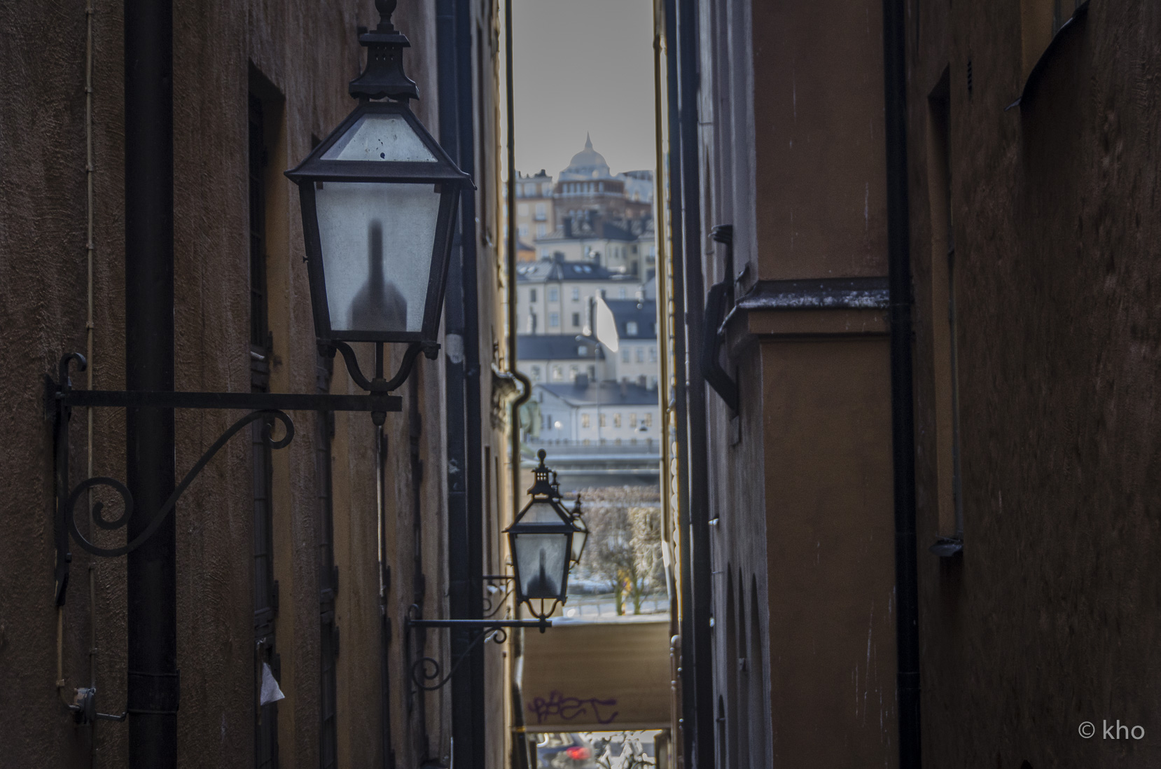 _D700642.jpg