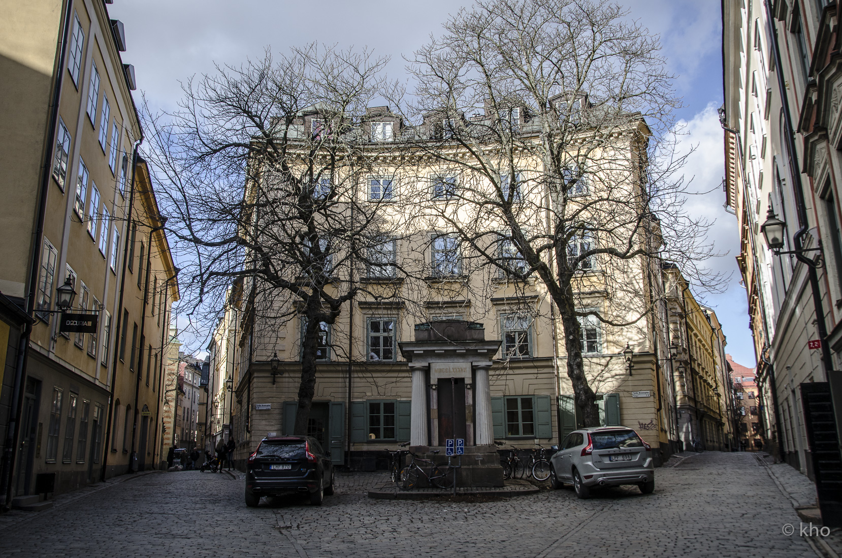 _D700661.jpg