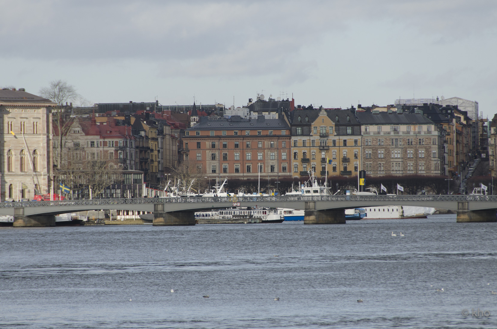 _D700680.jpg