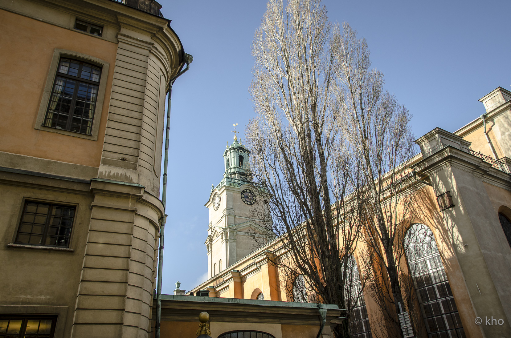 _D700850.jpg