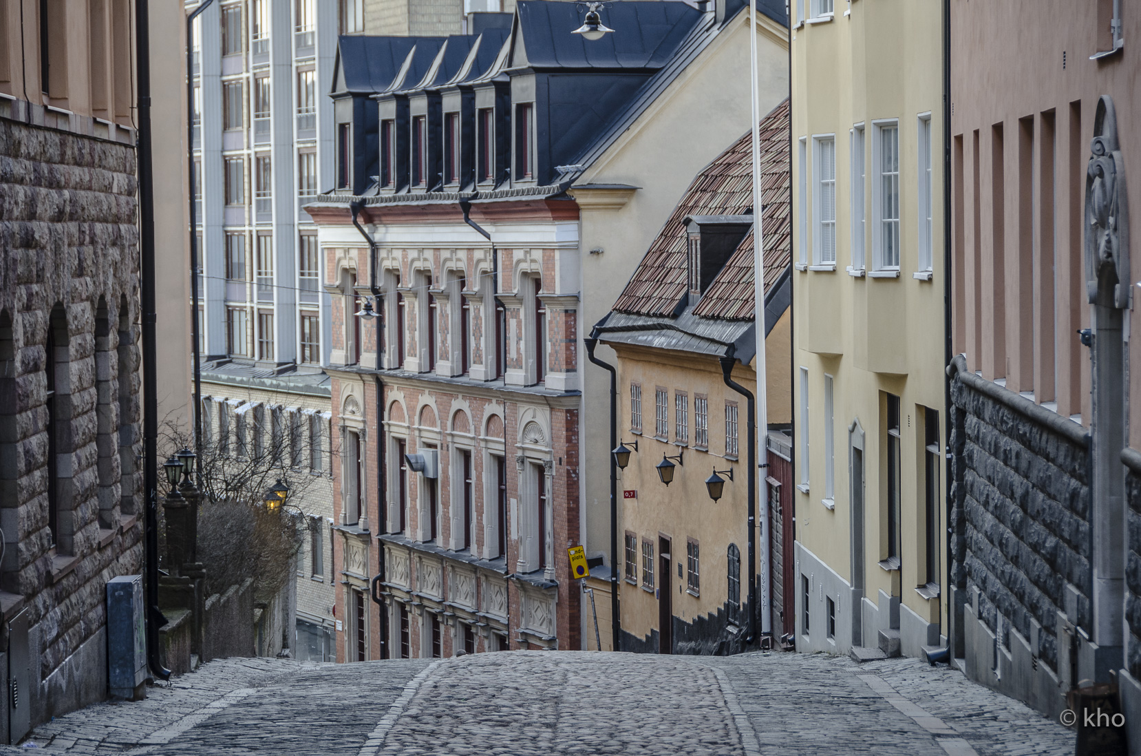 _D700889.jpg