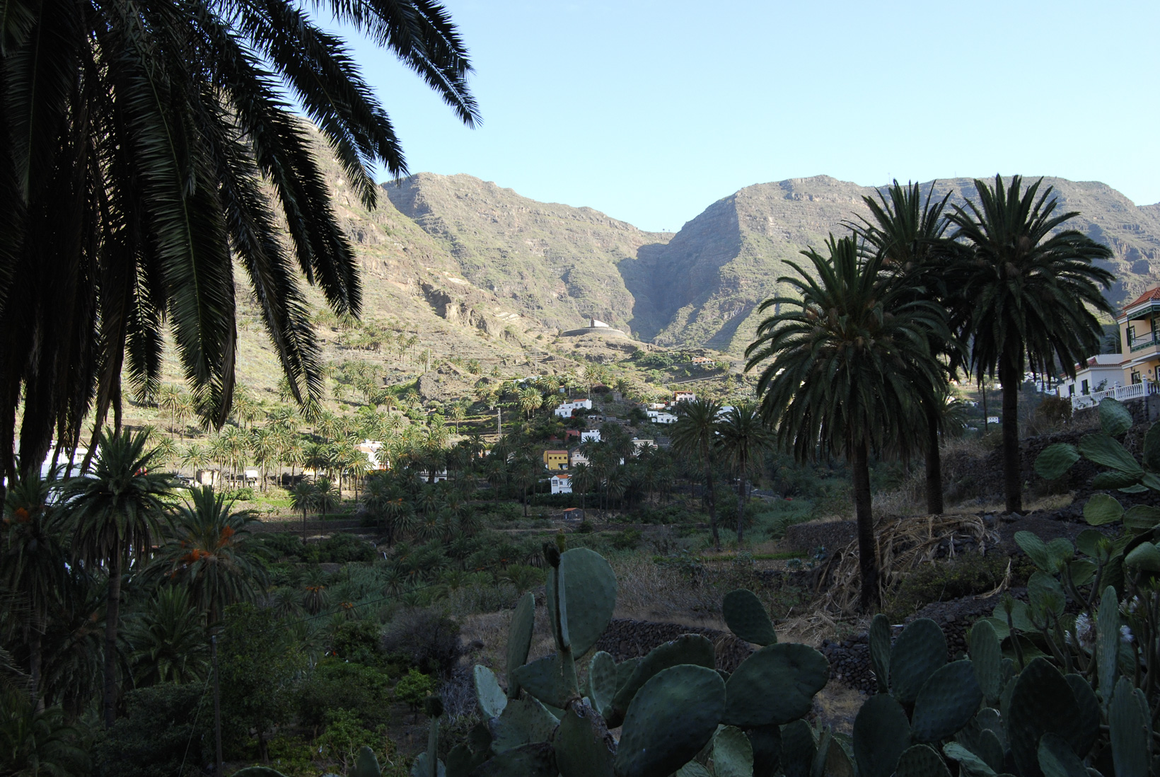 DSC_1801.jpg