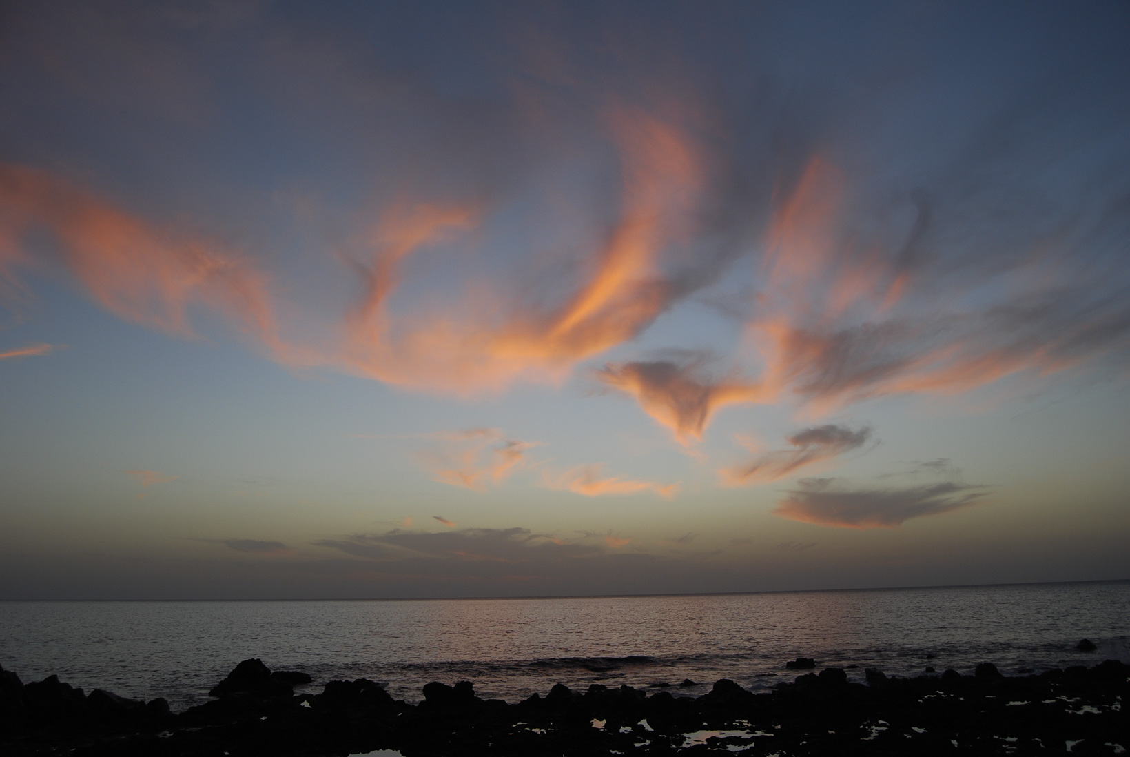 DSC_1949.jpg