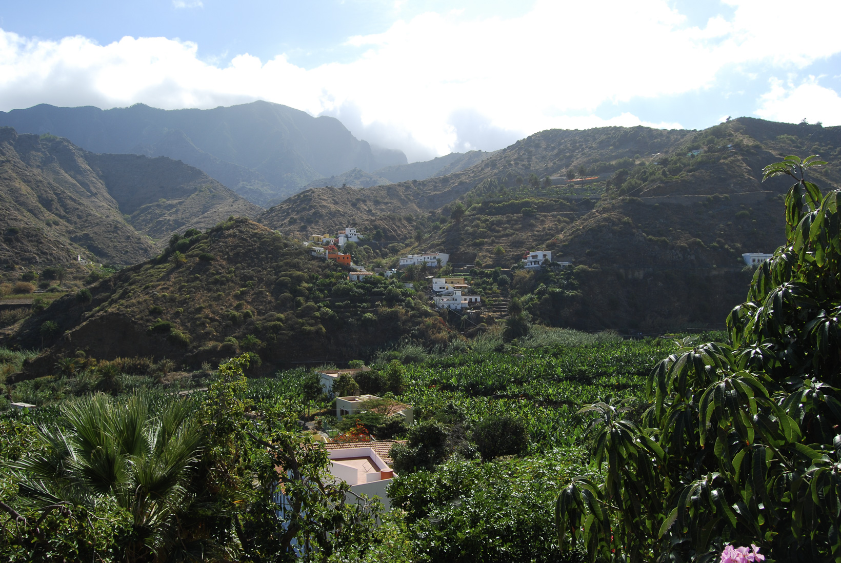 DSC_2362.jpg