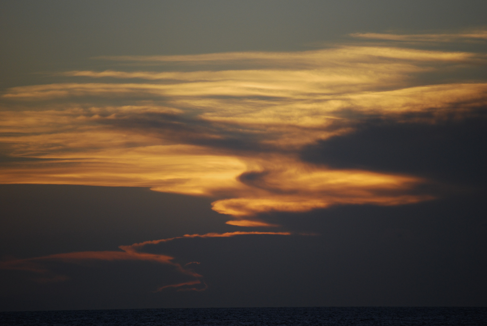 DSC_2507.jpg