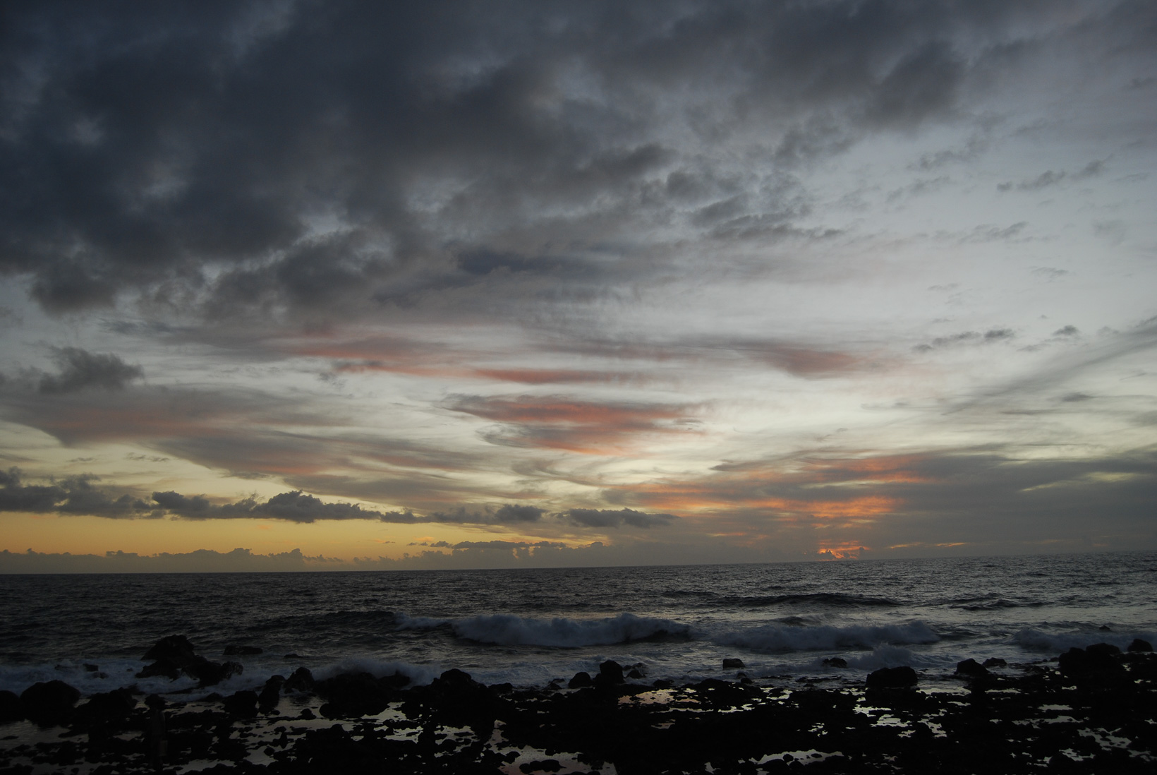 DSC_2598.jpg
