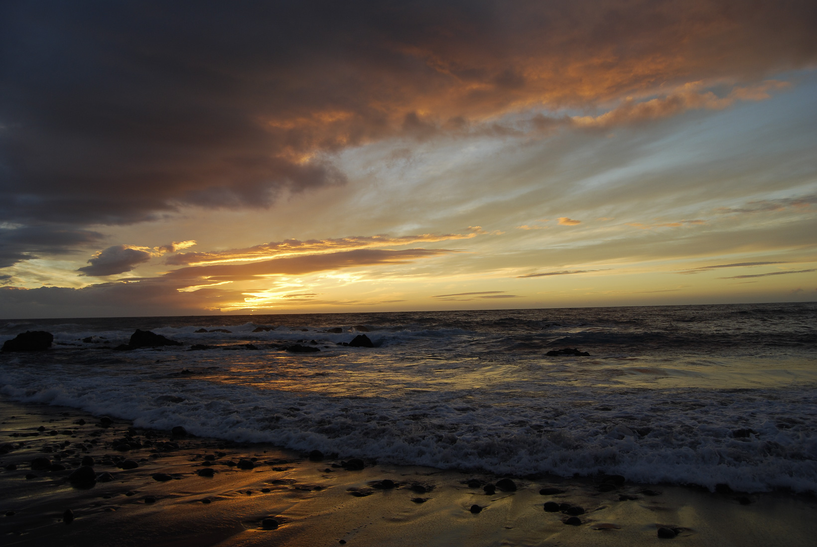 DSC_2665.jpg