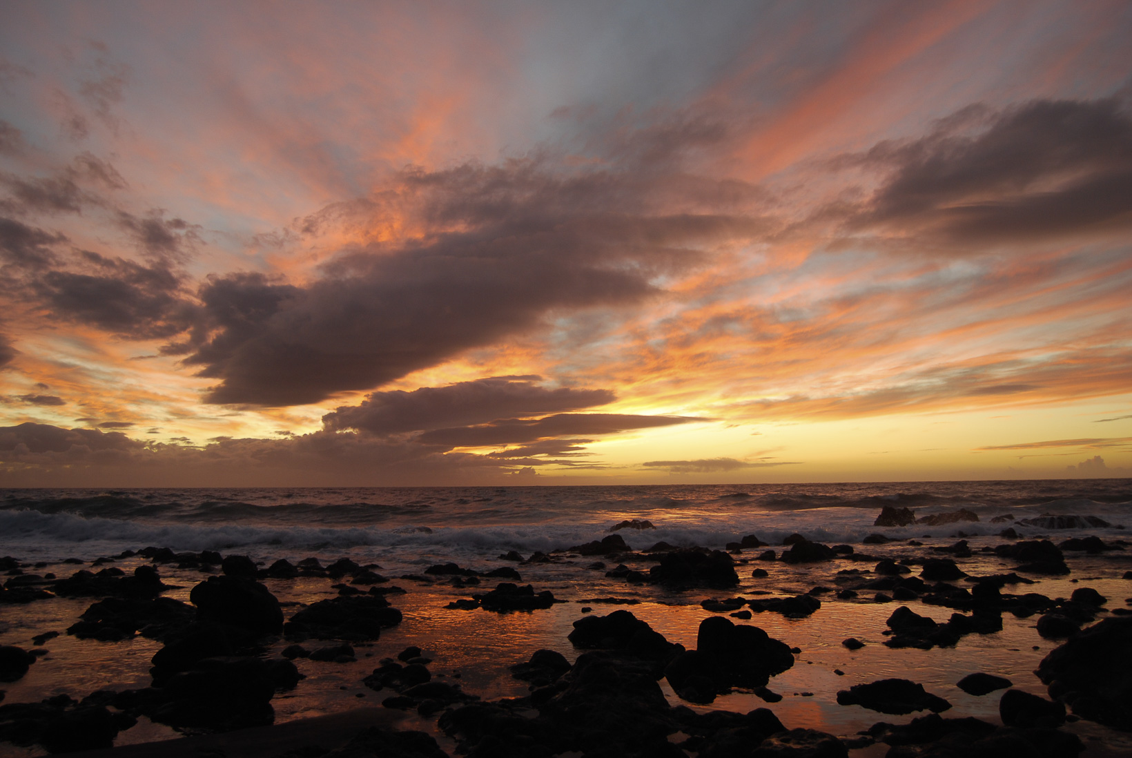 DSC_2712.jpg