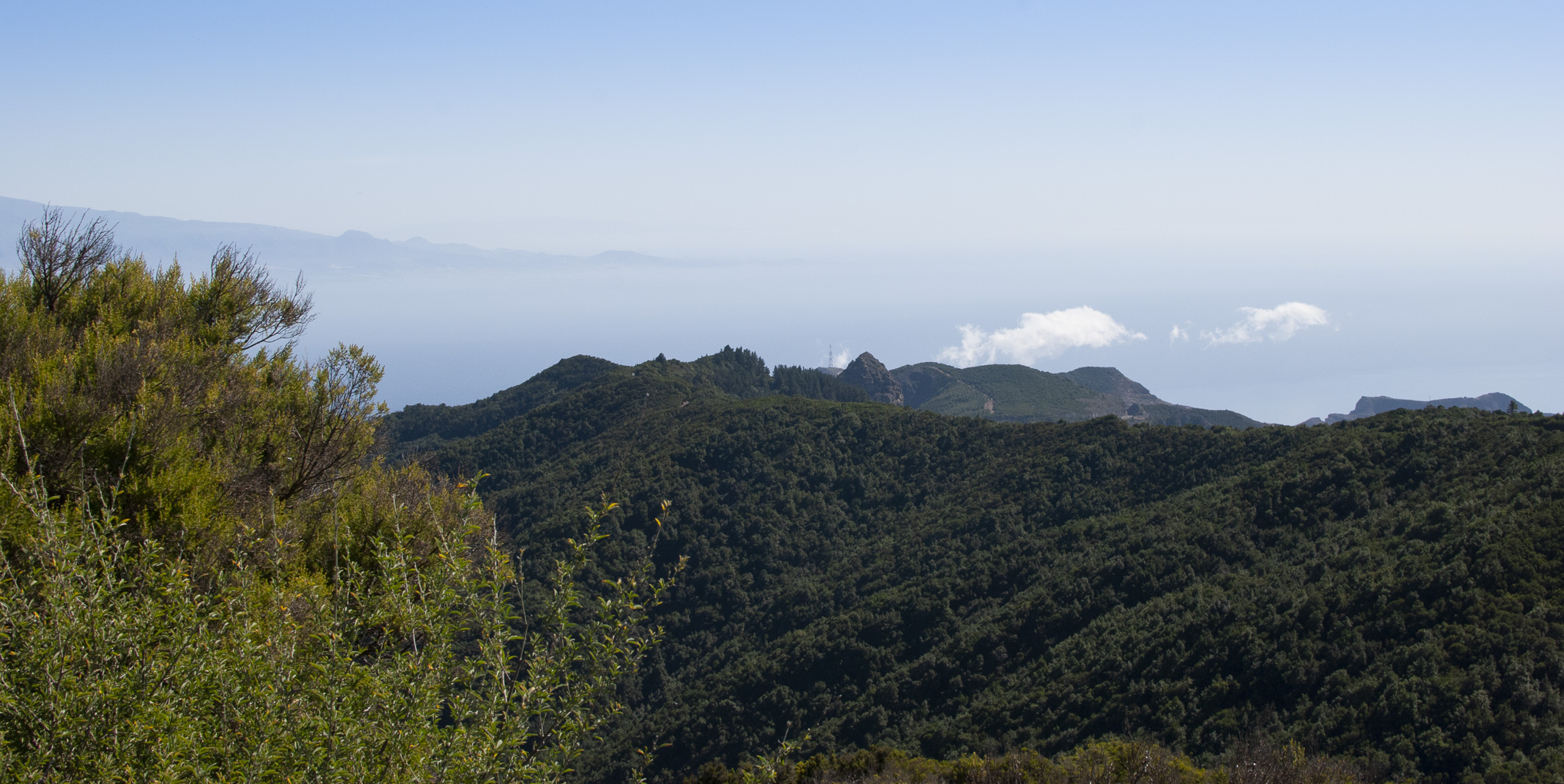 DSC_8574.jpg