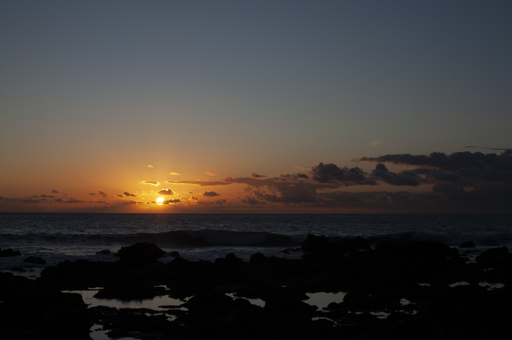 _DSC2206.jpg