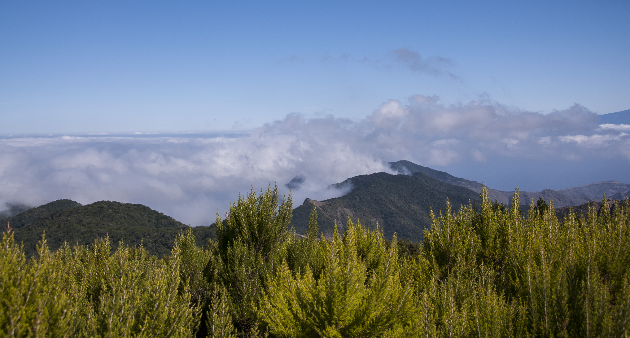 _DSC2456.jpg