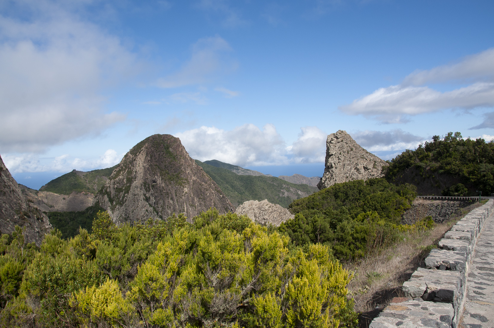 _DSC3087.jpg