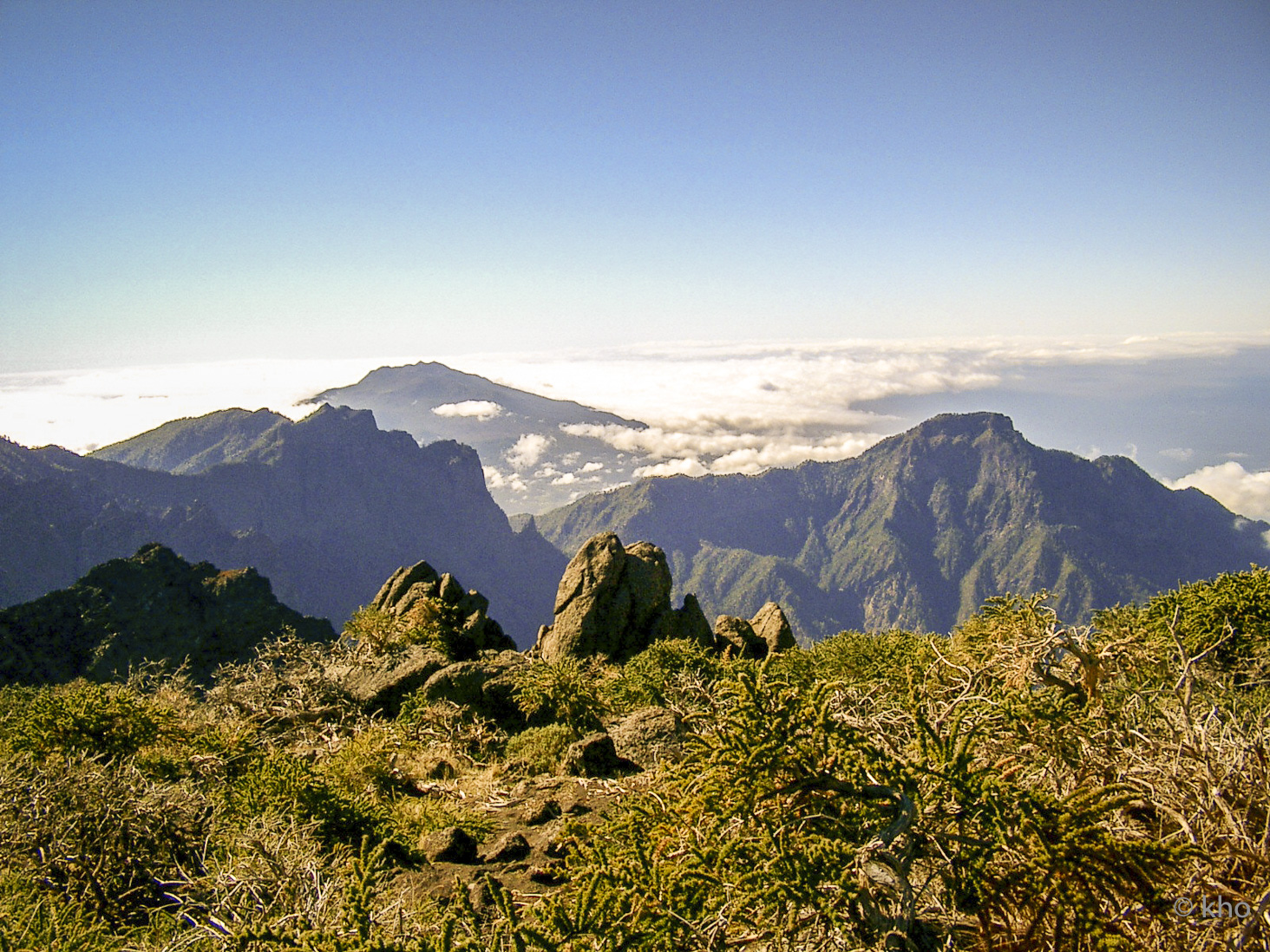 CIMG0225.jpg